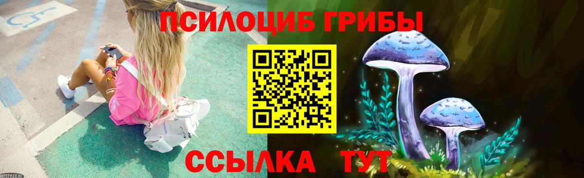 Галлюциногенные грибы MAGIC MUSHROOMS  Галлюциногенные грибы Psilocybine cubensis  Солнечногорск  Вход с VPN 